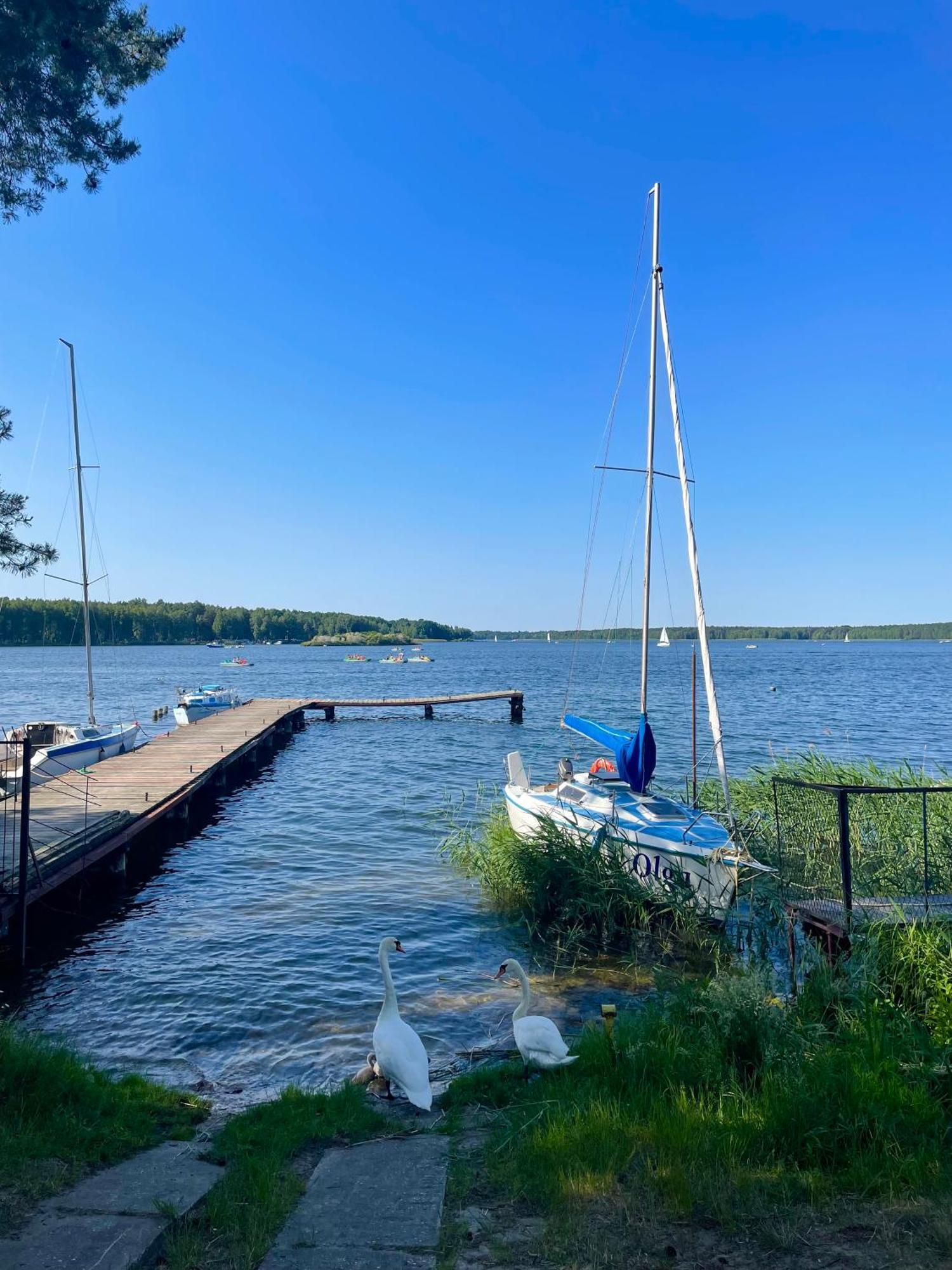 Oaza Pieczyska Otel Koronowo Dış mekan fotoğraf